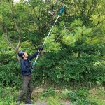 Combo Podadora de Alturas Makita 18V 20cm LXT XPT, 2.5 MT (DUA 200Z) + Cargador + Batería - Imagen 9